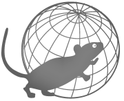 Logo_PHENOMIN mouse gray