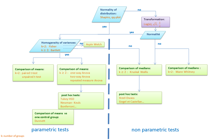 tree_quantitative.PNG