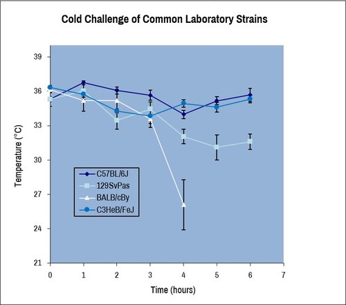 Metabo_Cold Challenge graph.jpg