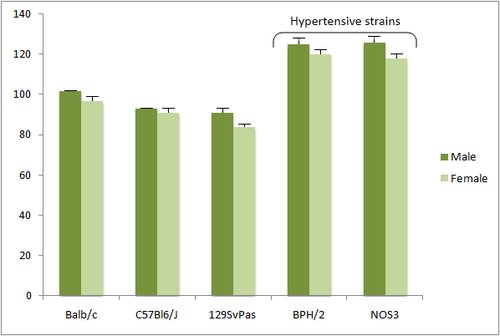 Cardio_Non invasive blood pressure graph