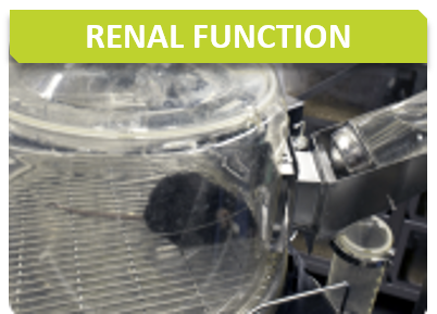 Biochem_TItre_Renal function