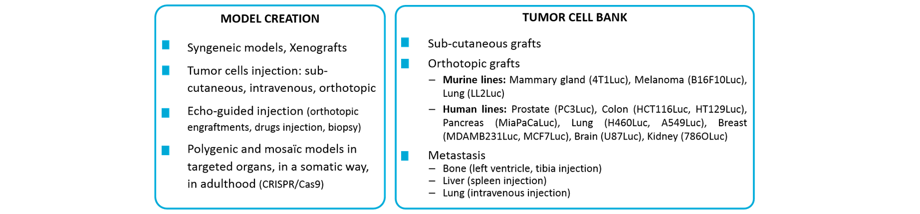 Oncology_Model creation and tumor cell bank