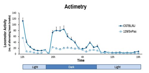 Behavior_Actimetry graph