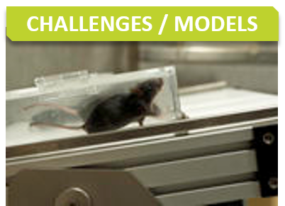 Metabo_Titre_Challenges models