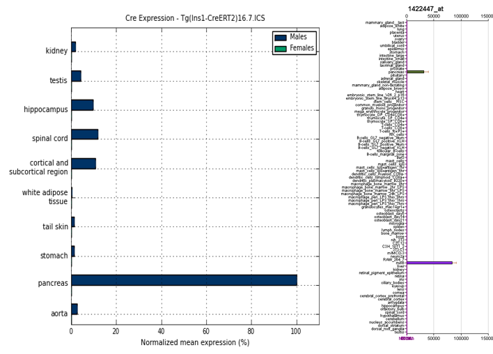 ModVal_gene expression by qRT-PCR.png