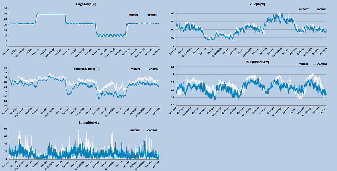 graphs combined.png