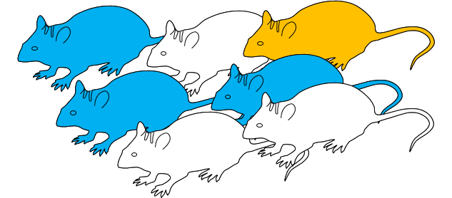 IngGen_CRISPR 7 souris F1.png