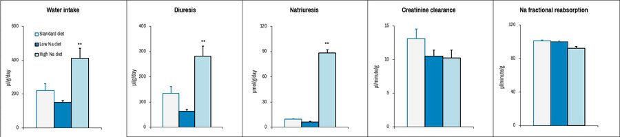 Biochem_Urine and renal function analysis graph