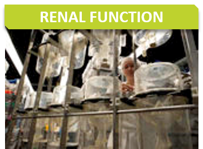 Metabo_Titre_Renal function