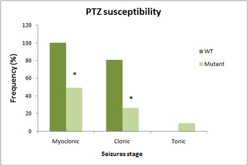 Behavior_PTZ seizures graph