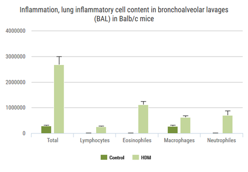 Respi_HDM induced asthma model 2 graph