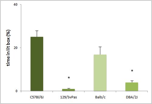 Behavior_Light dark graph