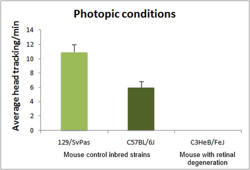 Behavior_Optomotor 1 graph