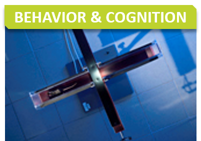 Behavior_Titre_Behavior and cognition