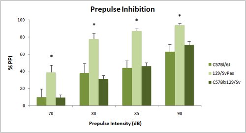 Behavior_Prepulse inhibition graph