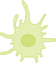 Immuno_Dendritic cell.png