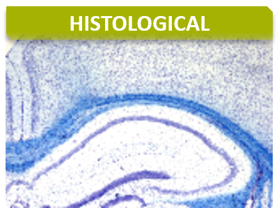 Anapath_Titre_Histology