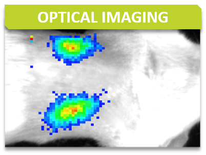 Imaging_Titre_Optical