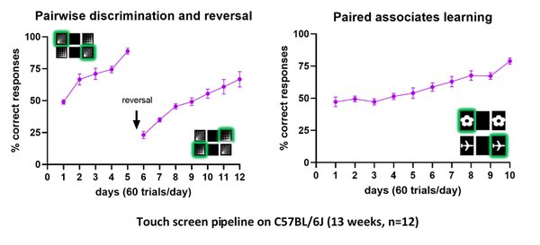 Behavior_TouchScreen_SampleTest.png