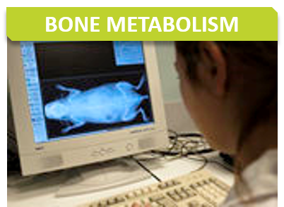 Metabo_Titre_Bone metabolism