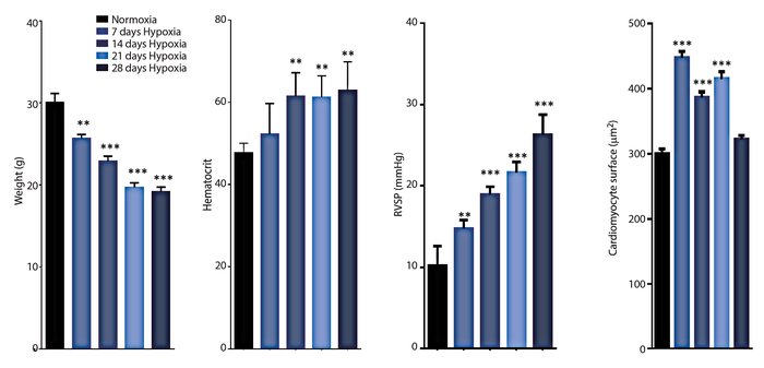 Cardio_PAH graph