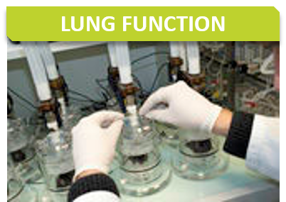 Cardio_Titre_Lung function