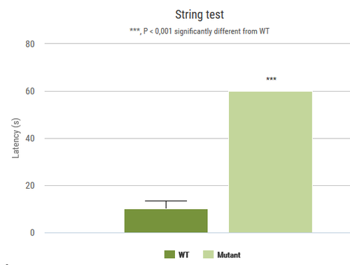 Behavior_String graph