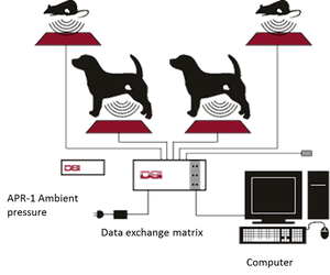 Cardio_Telemetry acquision system scheme