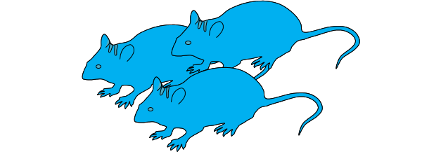 IngGen_CRISPR 3 souris.png