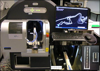 Imaging_X ray Bone dynamics MicroCT equipment